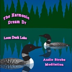 The Harmonic Dream Dr - Loon Duck Lake Audio Strobe Meditation