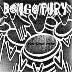 D'Mike - Bongo Fury (Furious Mix)