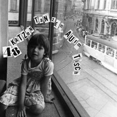 48 Katzen Tanzen Aufm Tisch - Sobek I 2025.11.30. at Kater