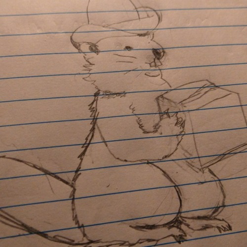 chunks snutstep