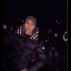 Saretti-Visste (osläppt)2022