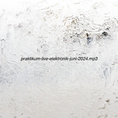 praktikum-live-elektronik-juni-2024.mp3