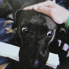 Happy Happy Place Place :)