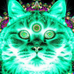 Bad Acid Trip (150bpm)