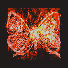 Lyotis