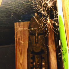 𝓙𝓸𝓱𝓷'𝓼 𝓔𝓪𝓽𝓲𝓷𝓰 𝓝𝓪𝓲𝓵𝓼 𝓐𝓰𝓪𝓲𝓷