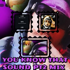 YOU KNOW THAT SOUND PT2 MIX