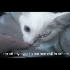 u on bullshit (chop off yo head XD)