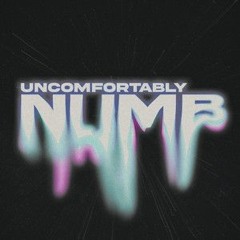 Everrest X XYAN - Uncomfortably Numb (REMIX)
