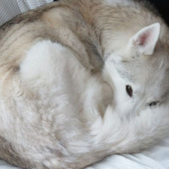 ^-^