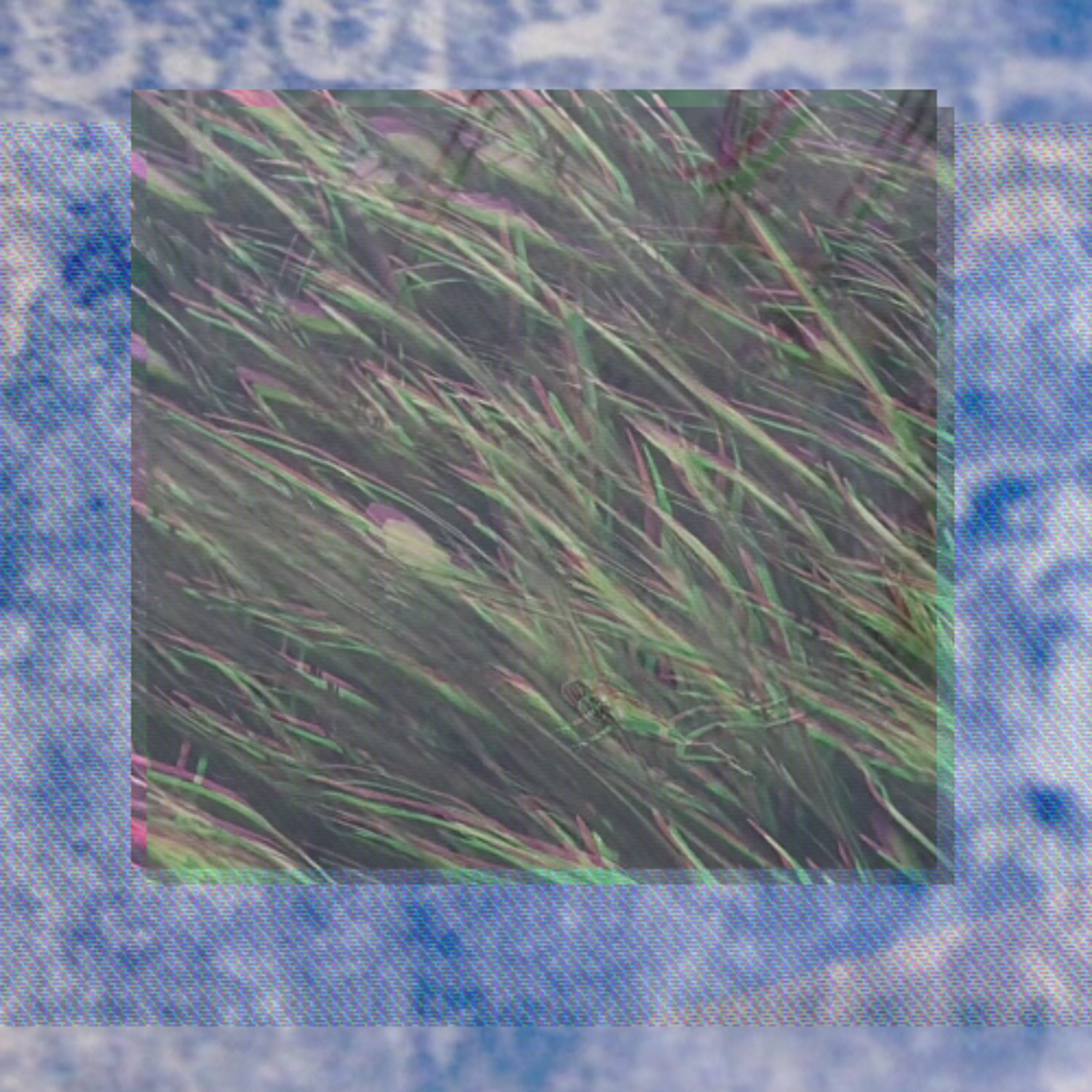 DJ Kel | The Nod: 100hz to freedom | 06-04-26 episode artwork