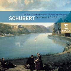 Symphony No. 5 in B-Flat Major, D. 485: I. Allegro