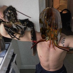 BBLJACK feat. Gustav Elmo (BBJACKSTICK DISS)