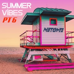 Summer Vibes Mix Pt. 6 (Supported by RL GRIME, Bonnie X Clyde, & 4B)[For Edit Pack Click 'Free DL']