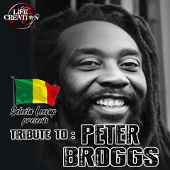 TRIBUTE TO PETER BROGGS mixed by selecta Leevup
