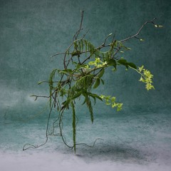 Vy Vy - Nằm Thở Và Đọc Sách