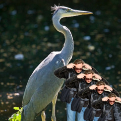 LISTEN2MYTAPE DJ GRAUREIHER x Jakaba