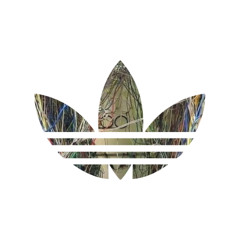 bed of nails w yrsci