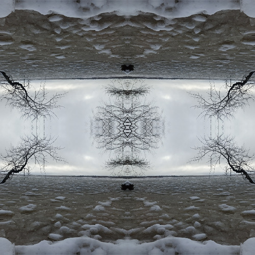 Trinfinity - Arcturian's Amanitas and Aurora