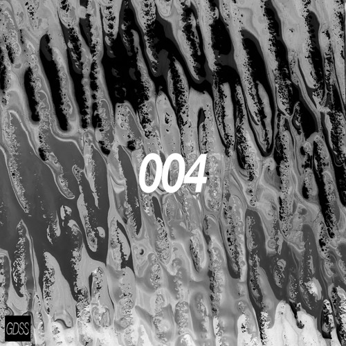 GDSS EXPERIMENTATION 004