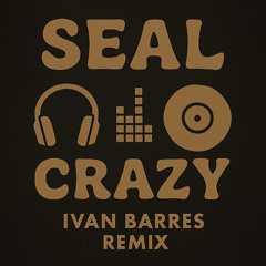 Seal - Crazy (Ivan Barres Remix) free*