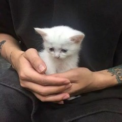 буерак - тупой slowed