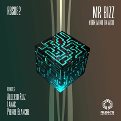 MR Bizz - Your Mind On Acid (Alberto Ruiz Remix) Promo Cut