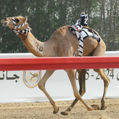 الدانة بن مرخان