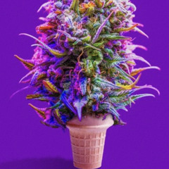 Rapper Weed 3(feat.HeavenBoyDustin)