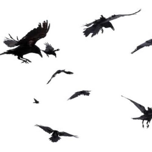 Bear dropper (scootxk)