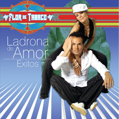 Ladrona De Amor (Album Version)