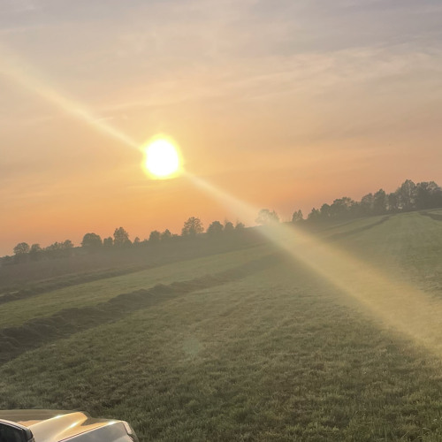 California techno tiscore⛓️⛓️🪚