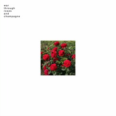 war through roses and champagne (preview)