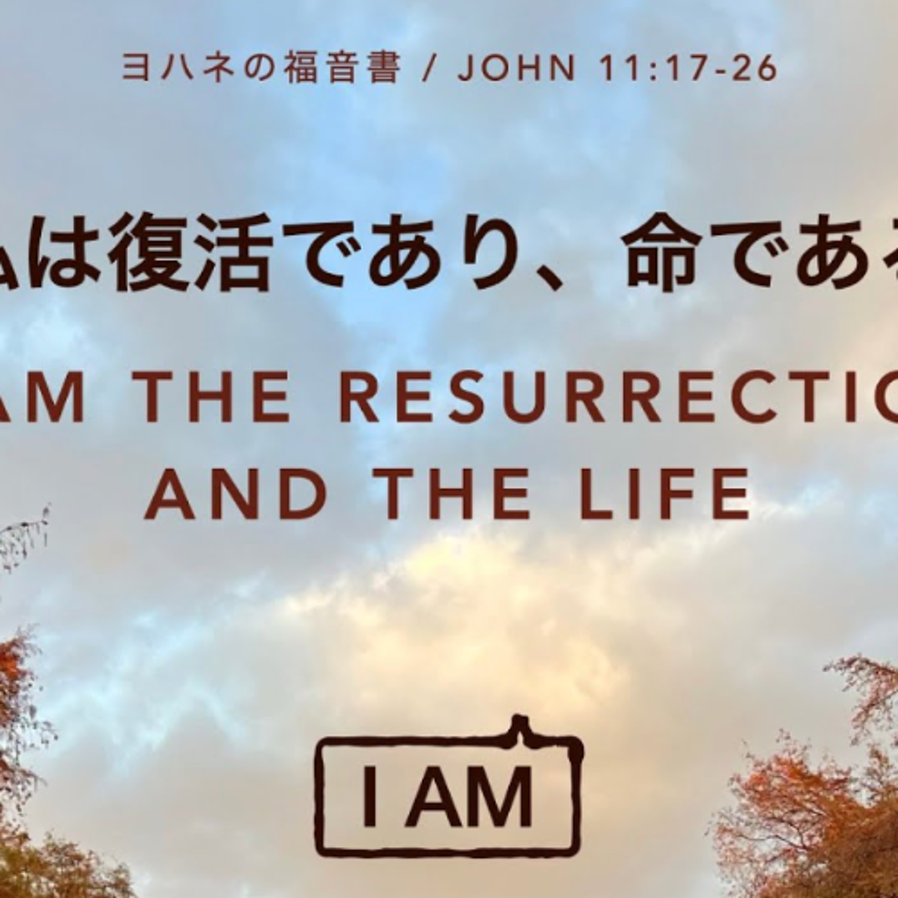 ヨハネの福音書 / JOHN 11:17-26 私は復活であり、命である I Am the Resurrection and the Life episode artwork