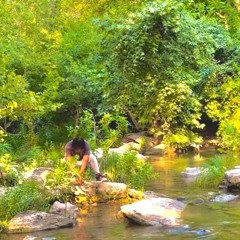 EASY TO LIE, SUNSHINE, HARD TO TRY