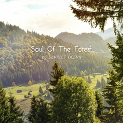 Soul Of The Forest