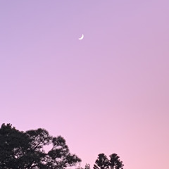 With Faded Strings, Take Me(DEMO)