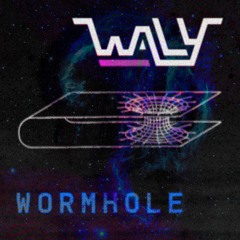 Wormhole
