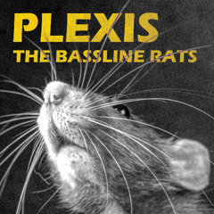 Plexis - The Bassline Rats