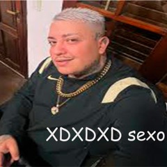 PONTE PERRO (PERO) LAS LLEVO PARA LA #JAJAFIESTA XD