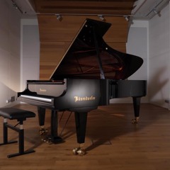 Vsl 2024 bosendorfer upright