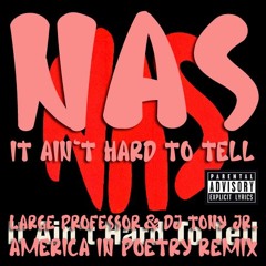 Nas - It Ain't Hard To Tell (Large Professor & DJ Tony Jr. "America In Poetry" Remix)