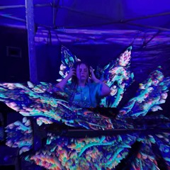 Bush Disco 2 - Earthy Psy/Prog