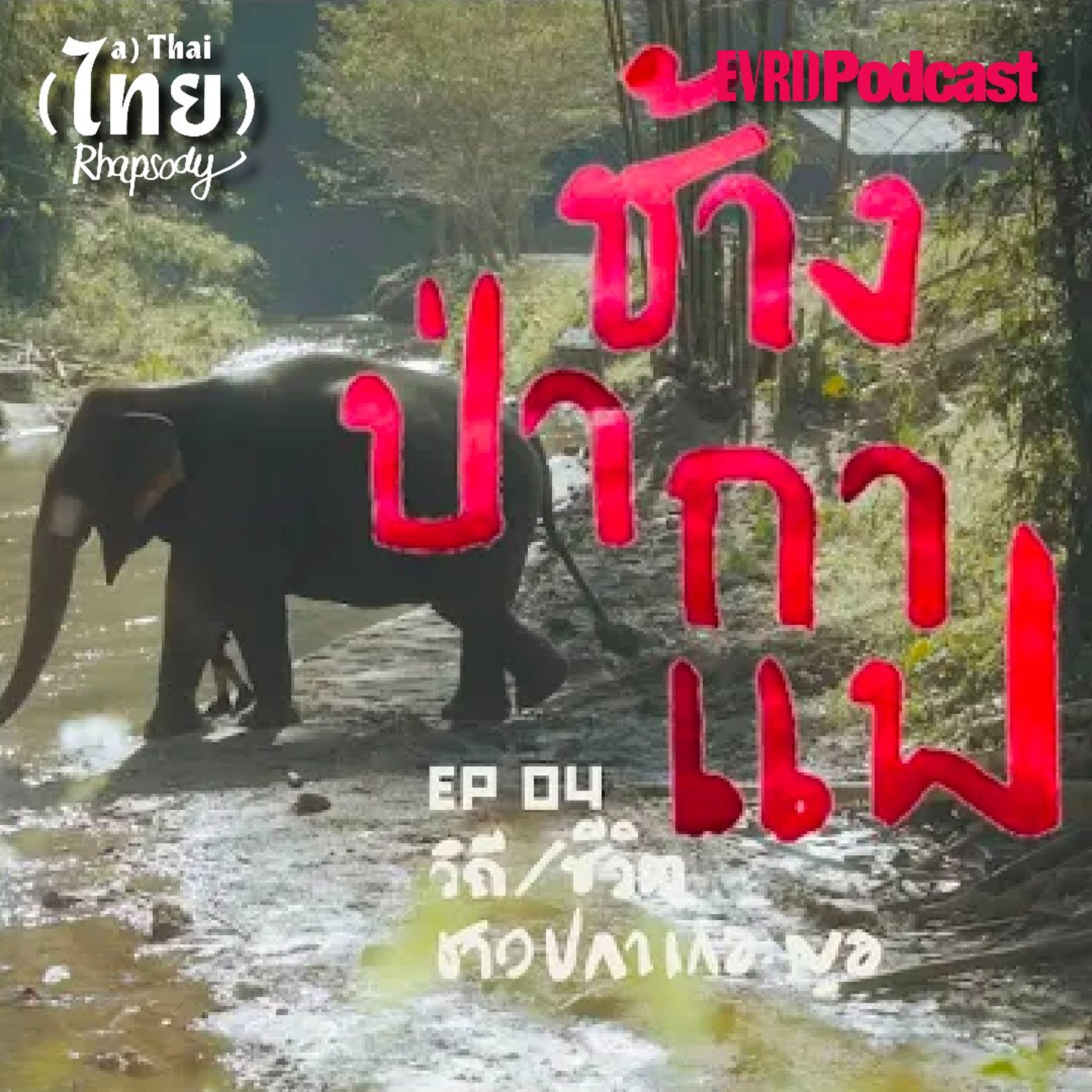 SS2 ปกาเกอะญอ EP04 - ช้าง ป่า และ กาแฟ _วิถี/ชีวิต ชาวปกาเกอะญอ episode artwork