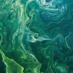 euglena.