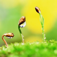 Inteligence - New Life
