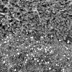 disquiet0674 - clicks and chords, resampled