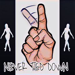 NeverTiedDown