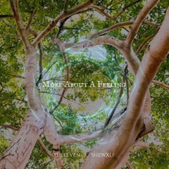 XI Eleven - More About A Feeling ft. SHEWXLF