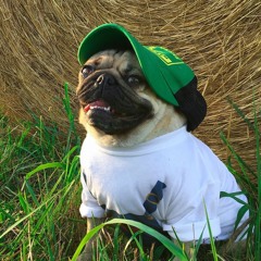 J$ & Friends PP: Bounce